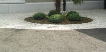 Cubes/Setts